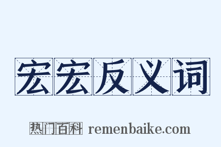 宏宏反义词是什么意思的图片